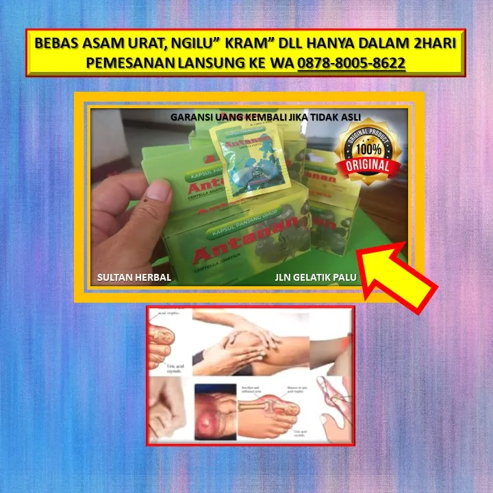 Obat Kram Wajah Sebelah Kiri Di Kota Palu