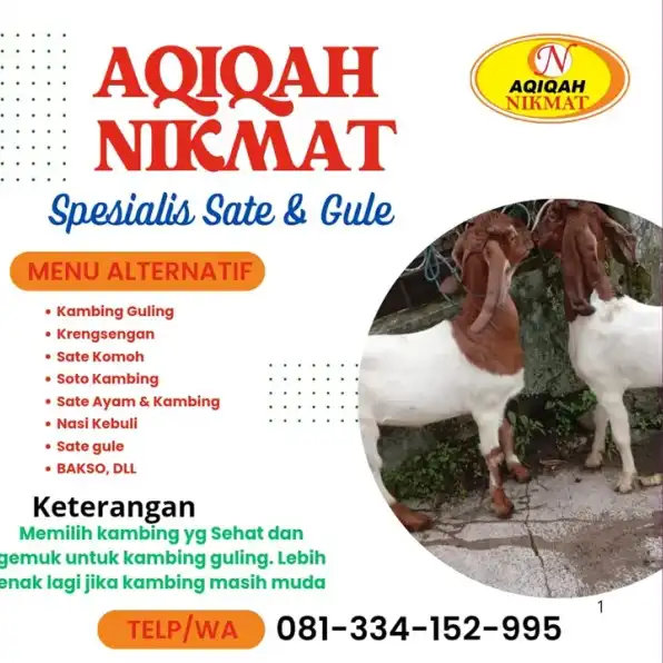 Hub. 0813 3415 2995 Paket Aqiqah Nasi Box Super Hemat Laki-laki Kota Batu