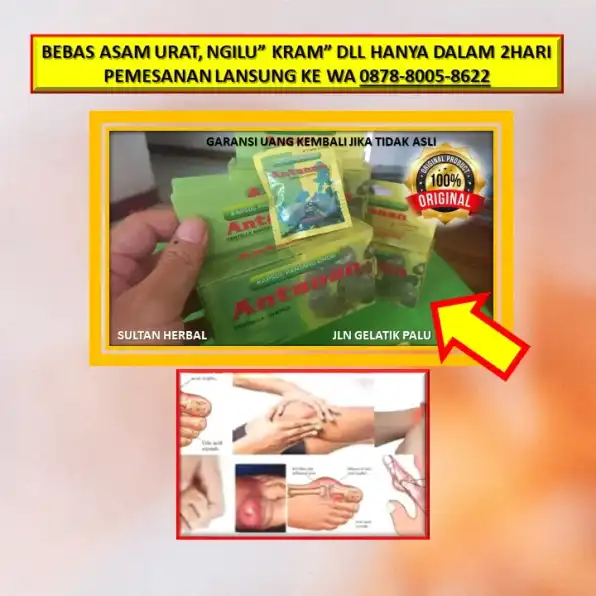 0878-8005-8622 Obat Penurun Kolesterol Yang Alami Di Kota Palu