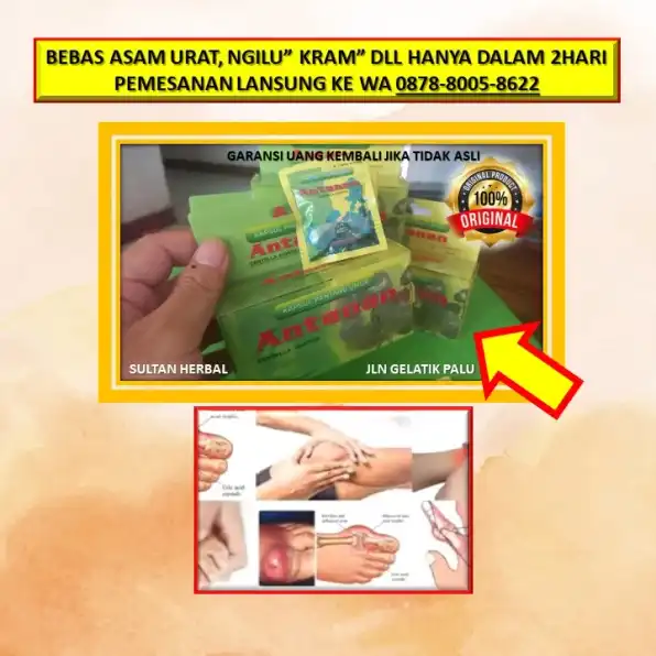 0878-8005-8622 Obat Kram Pinggang Di Kota Palu