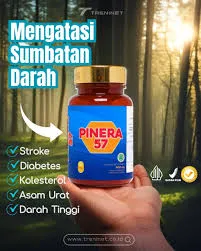 Obat Asam Urat Sumatera 081333350331 Obat Hipertensi Stroke Sumatera