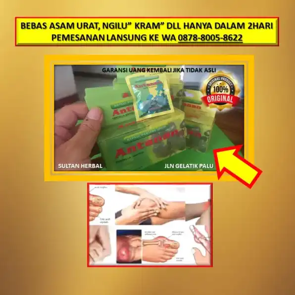 0878-8005-8622 Obat Alami Menurunkan Kolesterol Saat Hamil Di Kota Palu