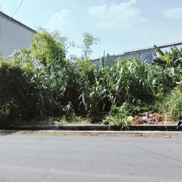 Dikontrakan 6 are, Jl. Raya Pondok Indah Buluh Indah Pemecutan Kaja Denpasar
