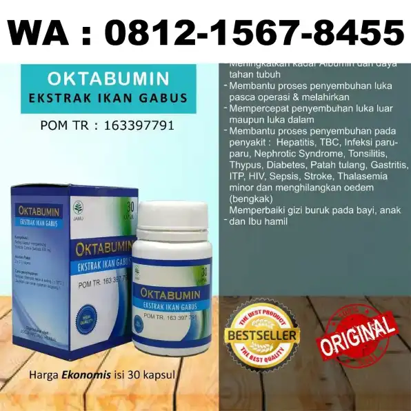 0812-1567-8455 Grosir Oktabumin Kapsul Ekstrak Ikan Gabus Di Lampung