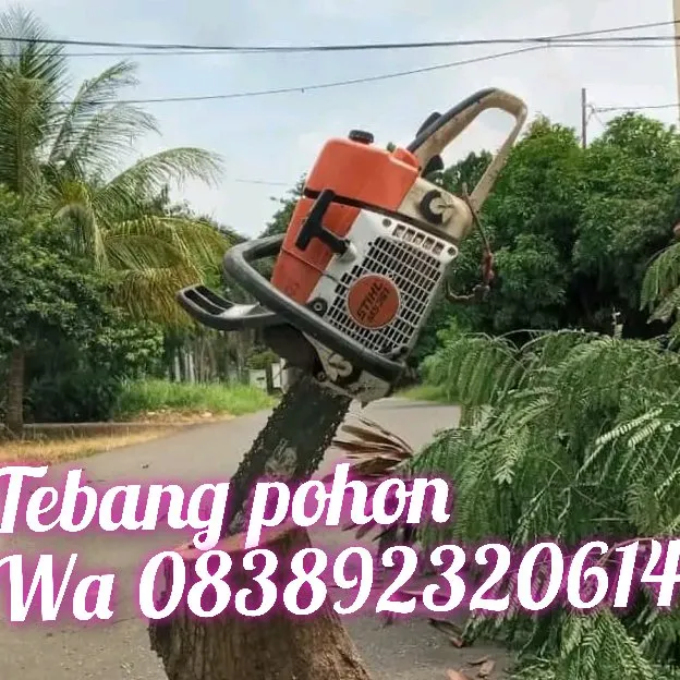 jasa tebang pohon Depok,Jaksel,tangsel