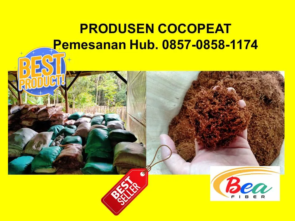 Call/WA: 0857 - 0858 -1174 Produsen Coconeat Organic Untuk Media Tanam Bejana Bangkalan Surabaya BEA FIBER