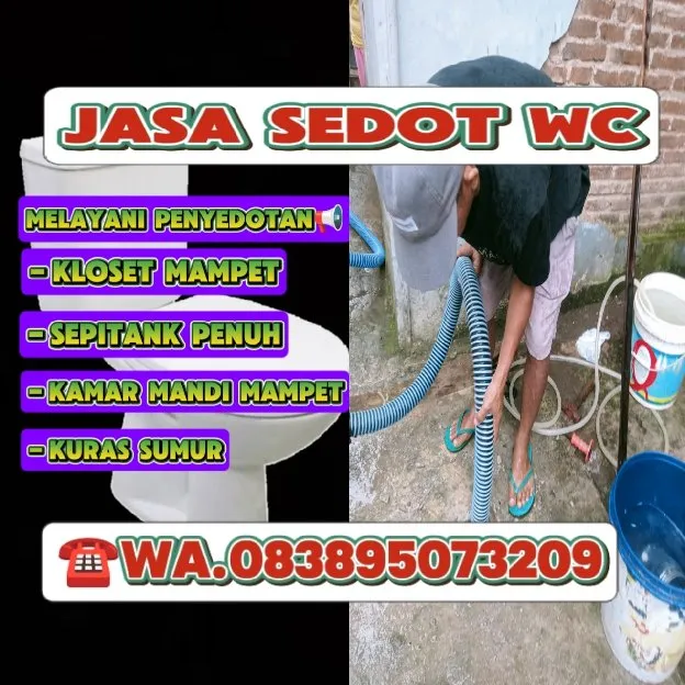 jasa sedot WC banjarneqara