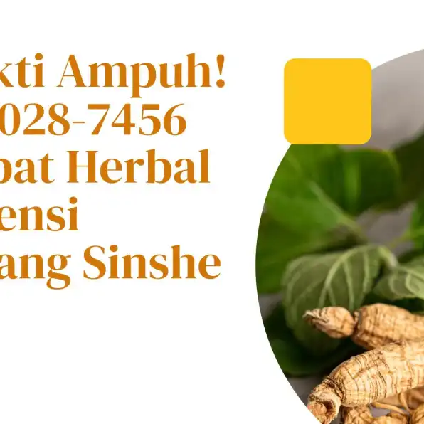 Terbukti Ampuh! 0856-4028-7456 Jual Obat Herbal Hipertensi Semarang Sinshe Zin