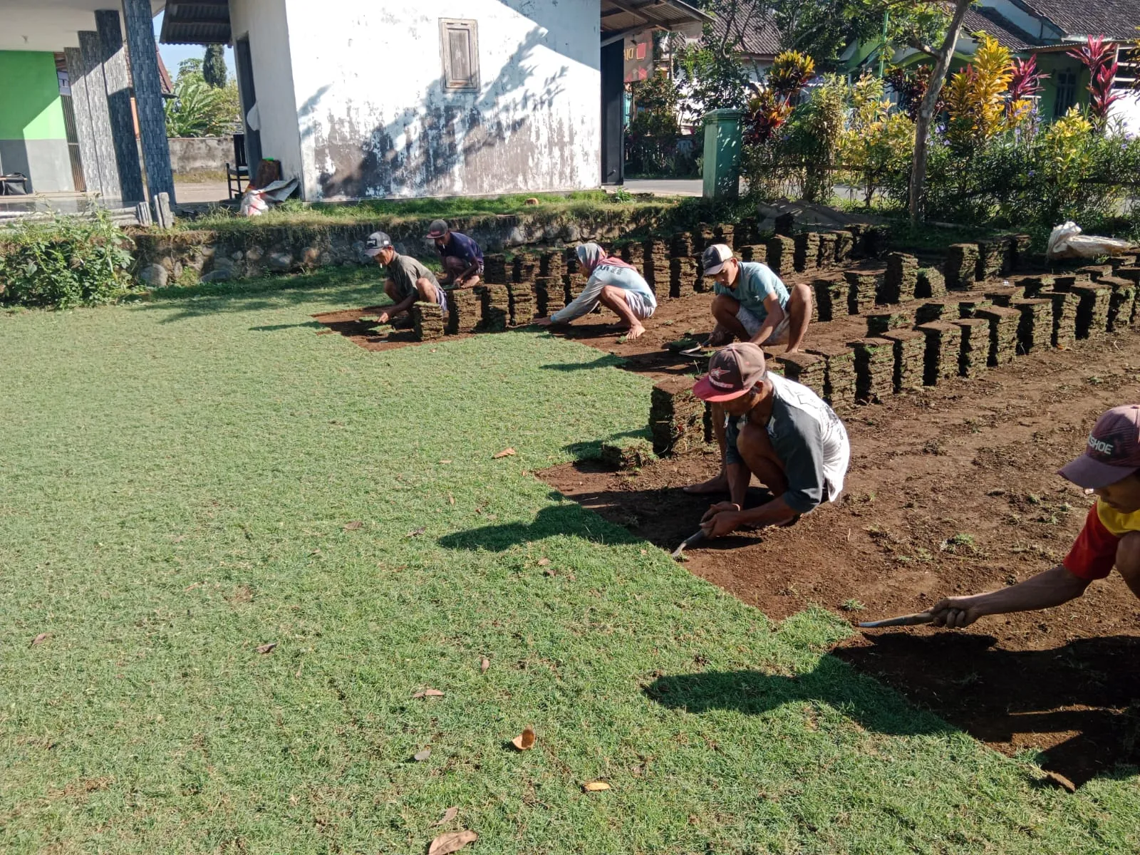 Jual Rumput Golf Trenggalek Termurah