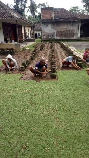 Jual rumput lapangan sepak bola temanggung terdekat