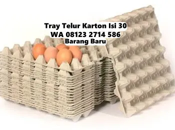 Tray Telur Murah - Khusus Peternak Kirim ke Lingsar Lombok Barat (17)