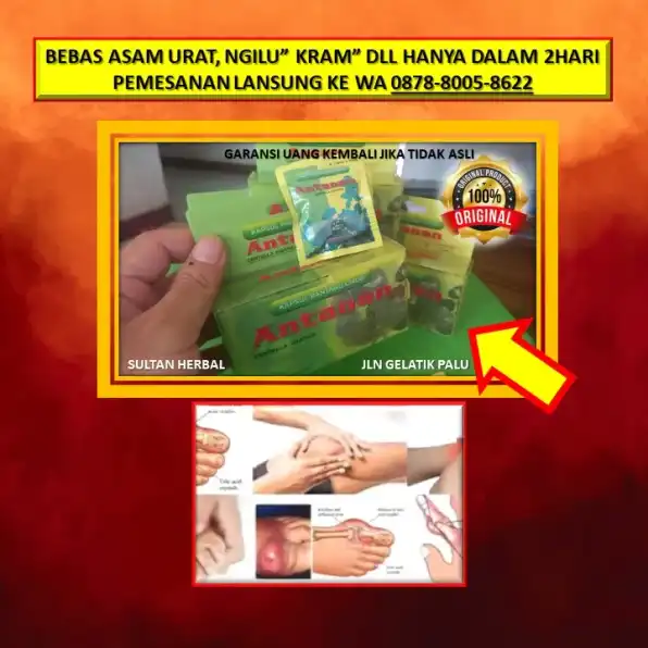 0878-8005-8622 Obat Penurun Kolesterol Secara Alami Di Kota Palu