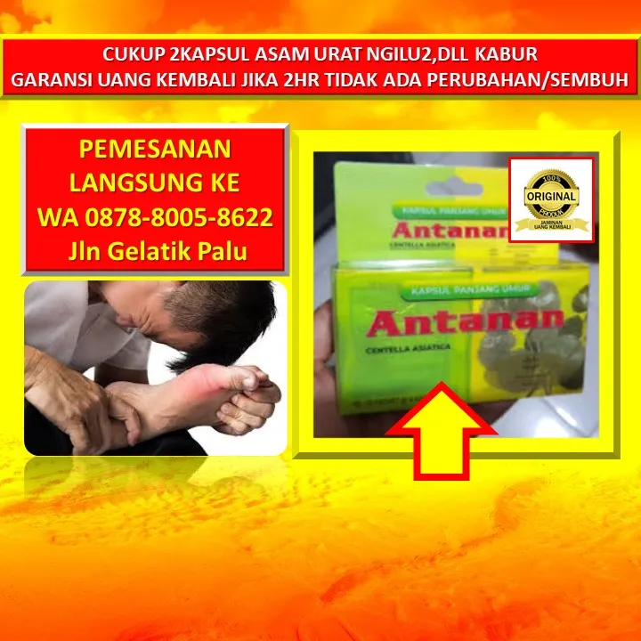 Obat Sakit Ngilu Seluruh Badan Di Kota Palu