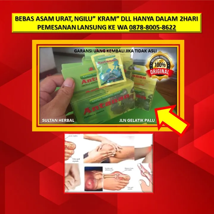 Obat Lutut Ngilu Dan Sakit Di Kota Palu