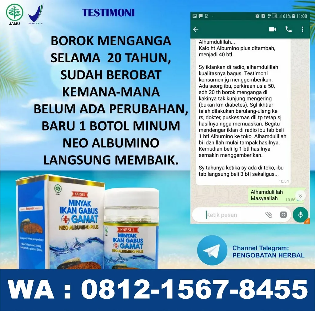 0812-1567-8455 Grosir Neo Albumino Plus Di Maluku Utara