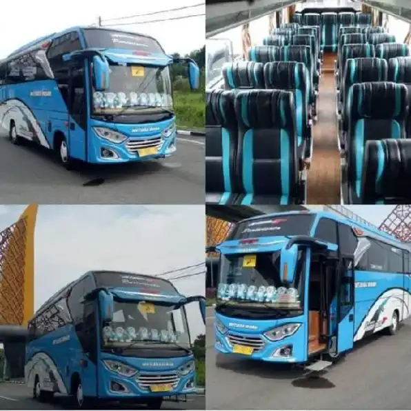 Sewa Bus Pariwisata Palembang 0813-6646-0626 Mutiara Indah