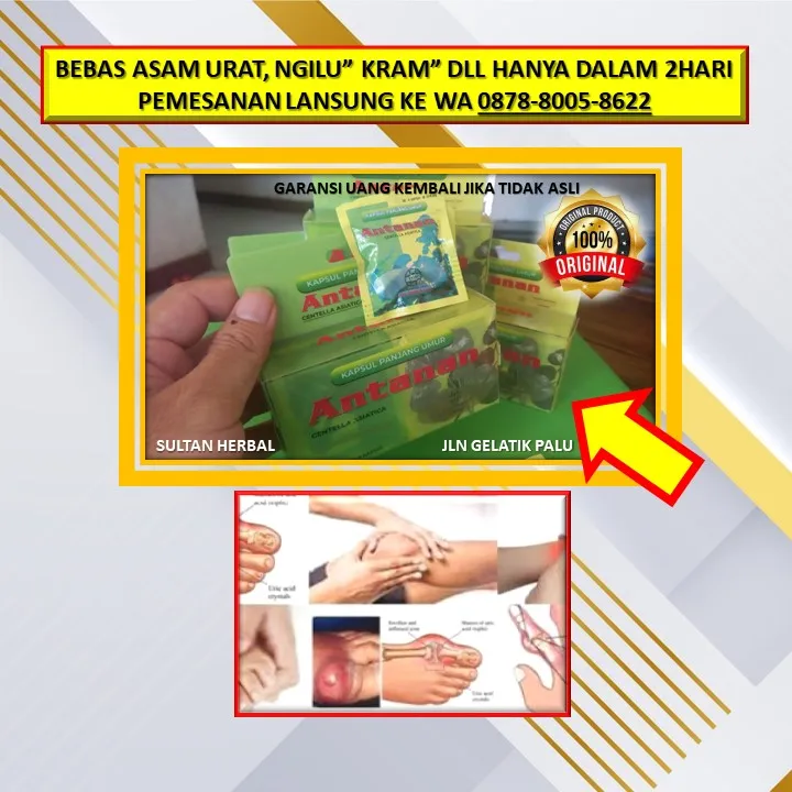 Obat Tradisional Sakit Kaki Ngilu Di Kota Palu