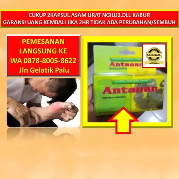 0878-8005-8622 Obat Kolesterol Yang Aman Untuk Ibu Hamil Di Kota Palu