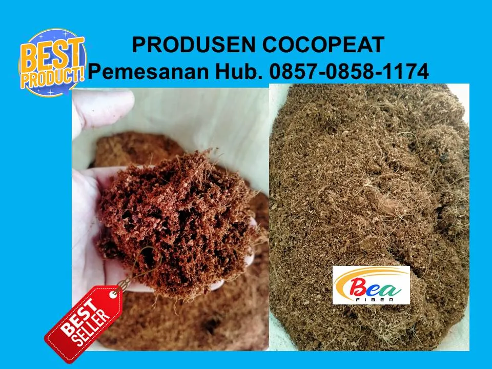 Call/WA: 0857 - 0858 -1174 Produsen Coconeat Organic Untuk Media Tanam Bejana Bangkalan Surabaya BEA FIBER