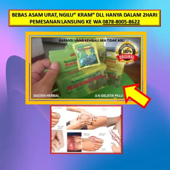 0878-8005-8622 Obat Alami Kolesterol Yang Ampuh Di Kota Palu