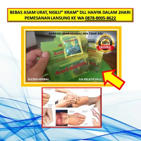 0878-8005-8622 Obat Sakit Kepala Demam Badan Ngilu Di Kota Palu