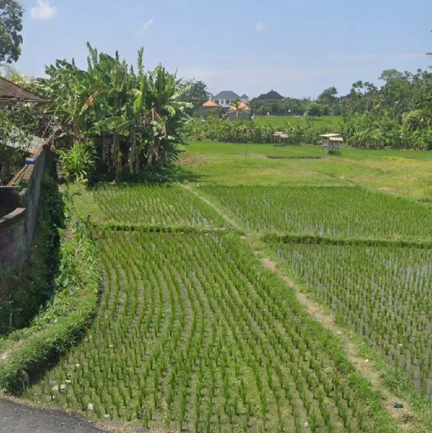 Dijual 17 are, Jl. Kuwum II Raya Semer Umalas Kerobokan Klod Kuta Utara