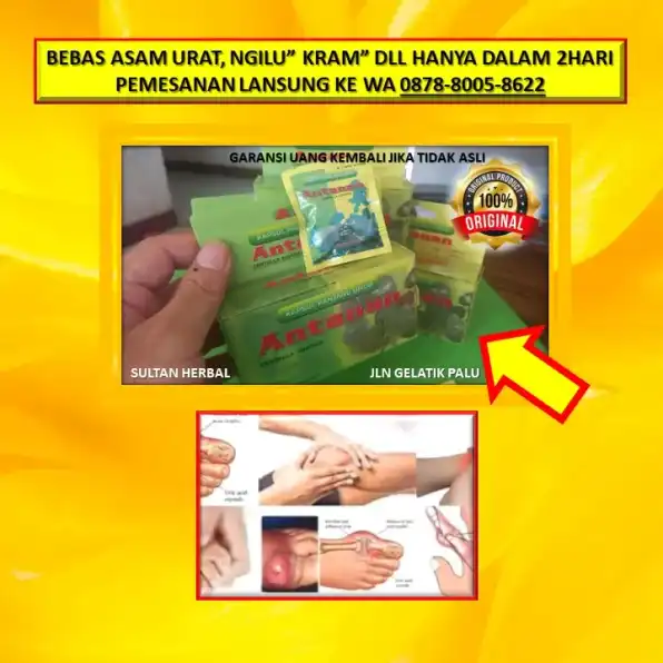 0878-8005-8622 Obat Alami Kolesterol Dan Trigliserida Di Kota Palu