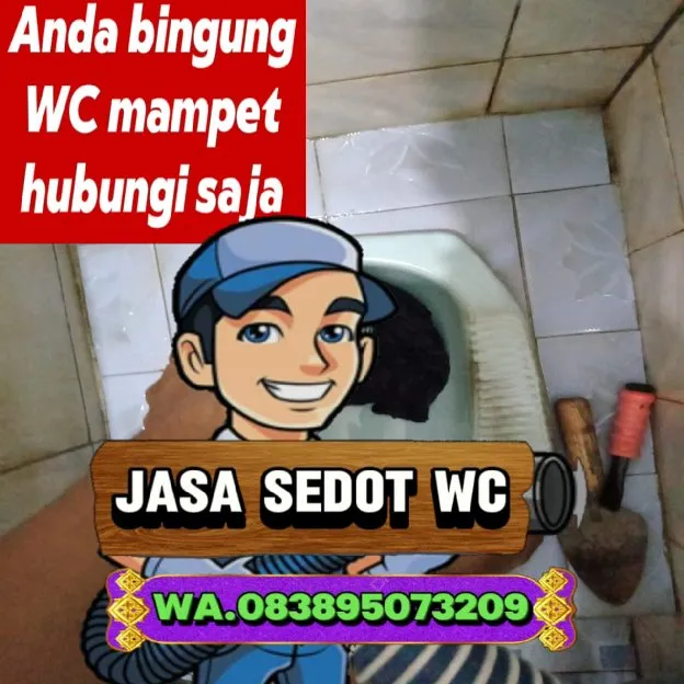 purwokerto sedot wc