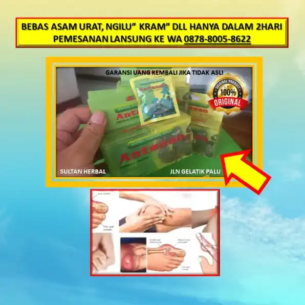 0878-8005-8622 Obat Alami Kolesterol Dan Darah Rendah Di Kota Palu