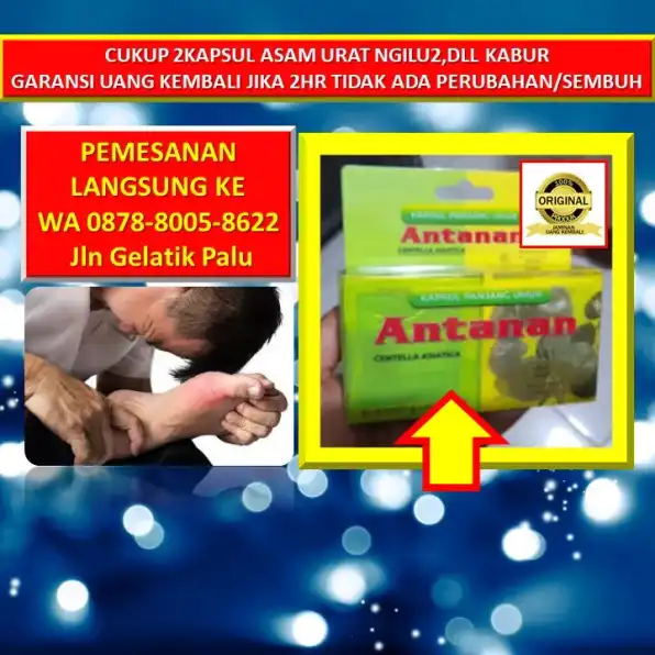 WA: 0878-8005-8622 Obat Asam Urat Pada Kaki Di Kota Palu