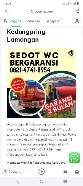 sedot WC Blitar termurah