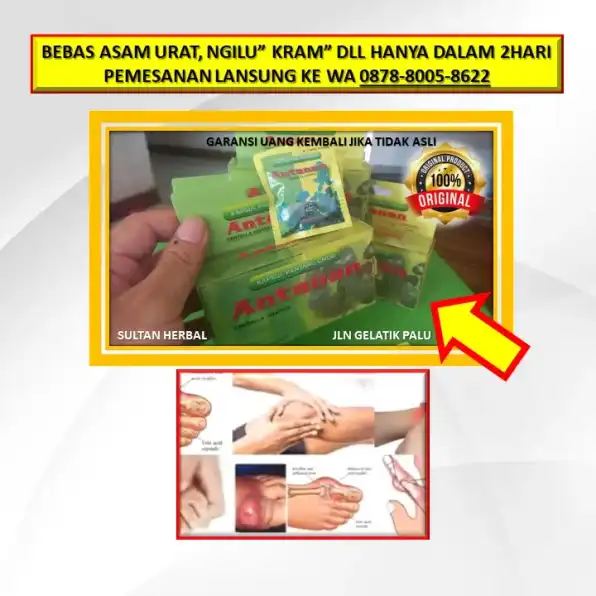 0878-8005-8622 Obat Asam Urat Kronis Di Kota Palu