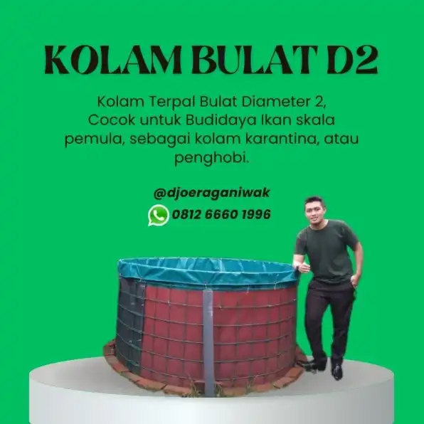 Canggih ! CALL 0878-5501-6468 Pabrik Terpal Kolam Ikan Lele Palaran Samarinda