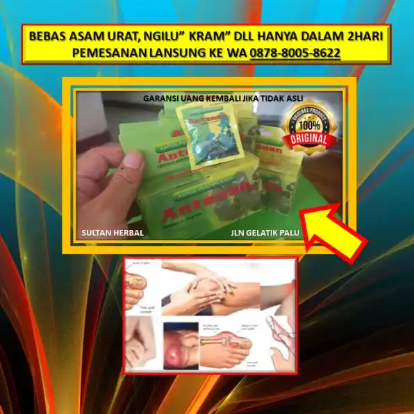 0878-8005-8622 Obat Kolesterol Tinggi Herbal Di Kota Palu