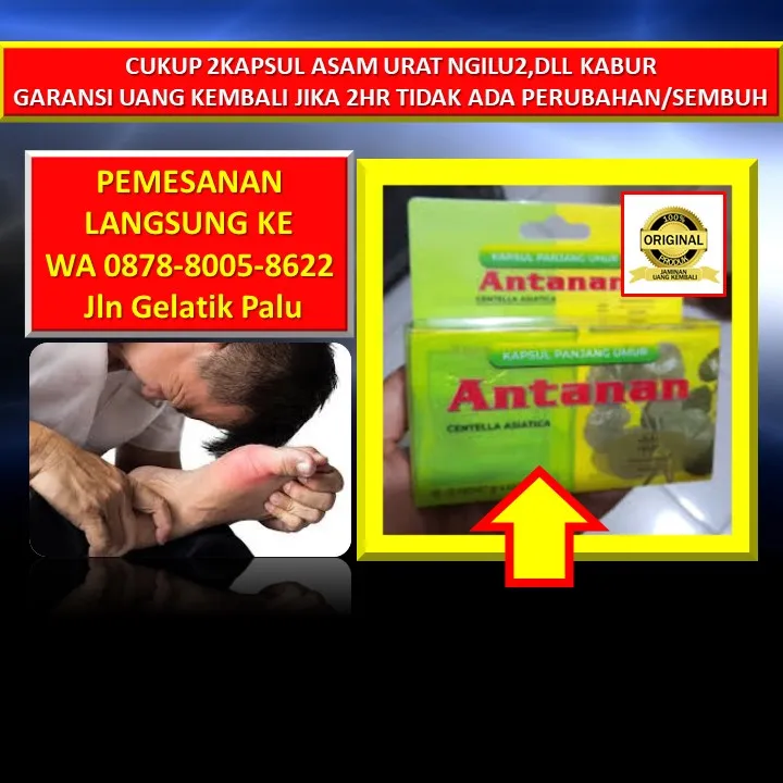 0878-8005-8622 Obat Asam Urat Etawalin Di Kota Palu