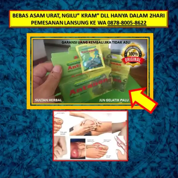 0878-8005-8622 Obat Asam Urat Paten Di Apotik Di Kota Palu