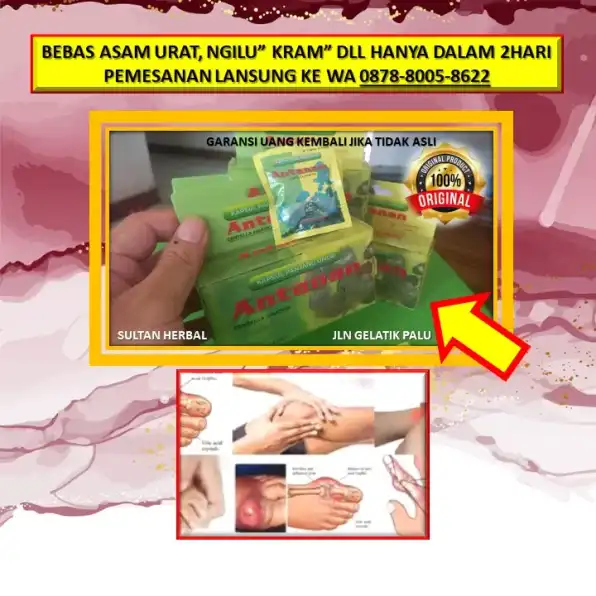 WA: 0878-8005-8622 Obat Asam Urat Rendah Di Kota Palu