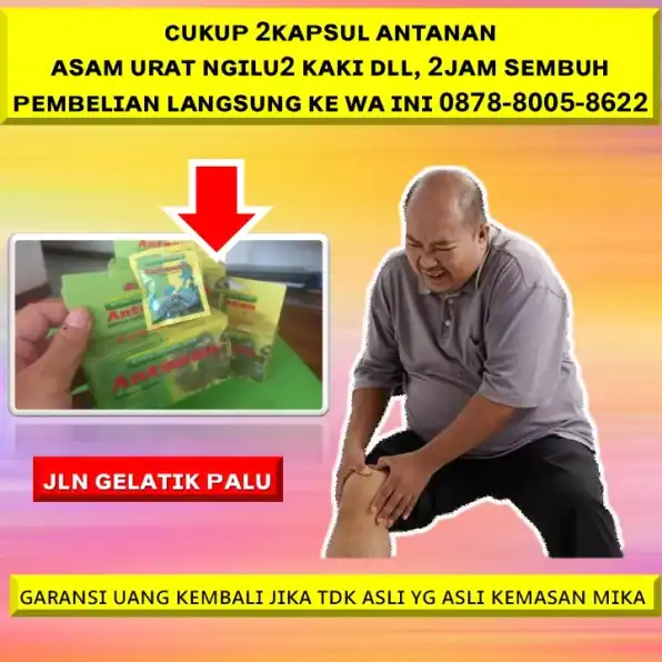 0878-8005-8622 Obat Alami Menghilangkan Kolesterol Di Kota Palu