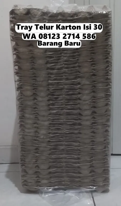 Tempat Telur Kertas Produk Terlaris Pupuan Tabanan Bali (140)