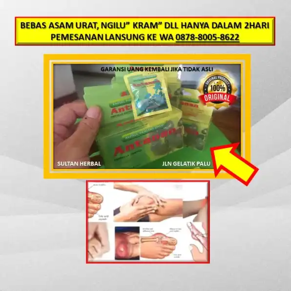 0878-8005-8622 Obat Asam Urat Alami Di Kota Palu