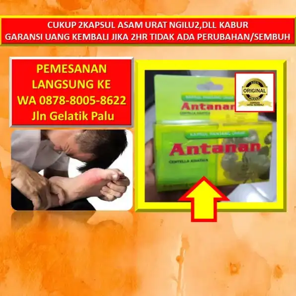 0878-8005-8622 Obat Asam Urat Untuk Ibu Menyusui Di Kota Palu