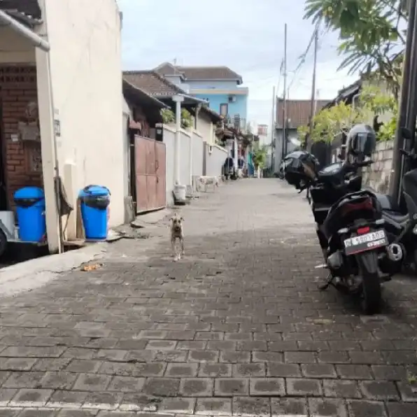 Dijual 1,34 are, Free Bangunan, Jl. Bikini Teuku Umar Barat Padangsambian Klod Denpasar