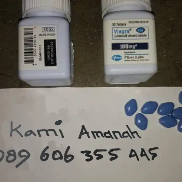 18+ Jual Viagra Asli Tangerang Selatan 089606355445