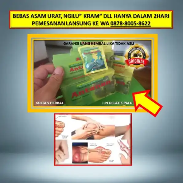 0878-8005-8622 Obat Alami Kolesterol Dan Gula Darah Di Kota Palu