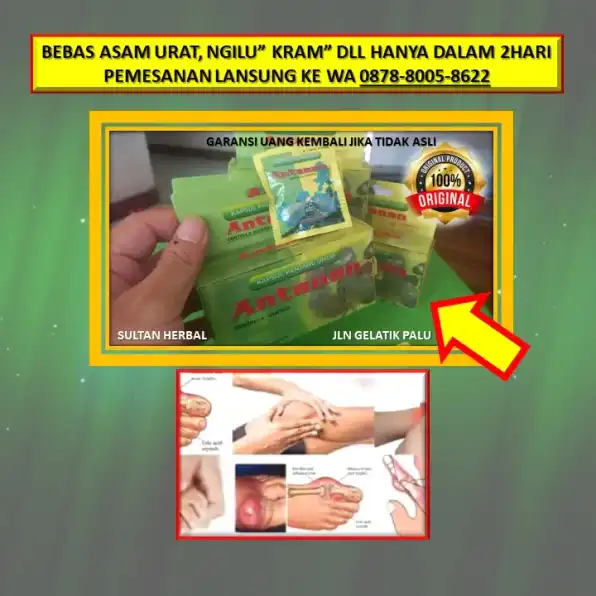 0878-8005-8622 Obat Asam Urat Nyeri Sendi Di Kota Palu