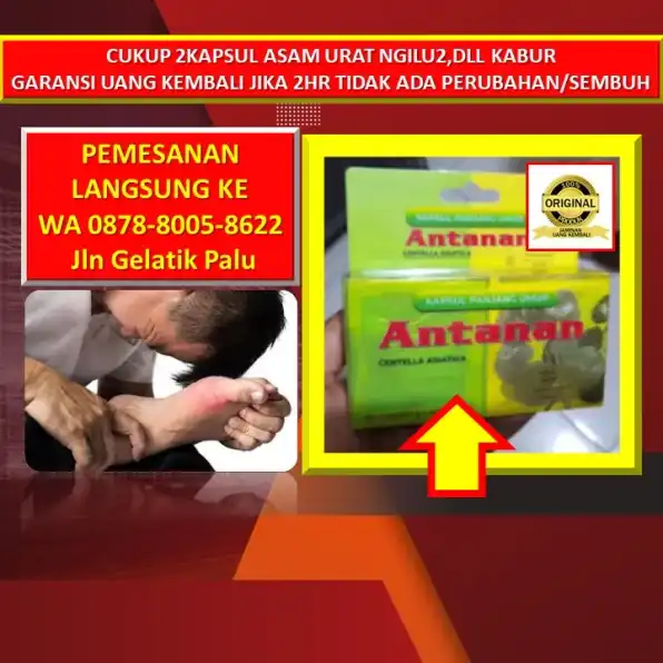 0878-8005-8622 Obat Kolesterol Jahat Paling Ampuh Di Kota Palu