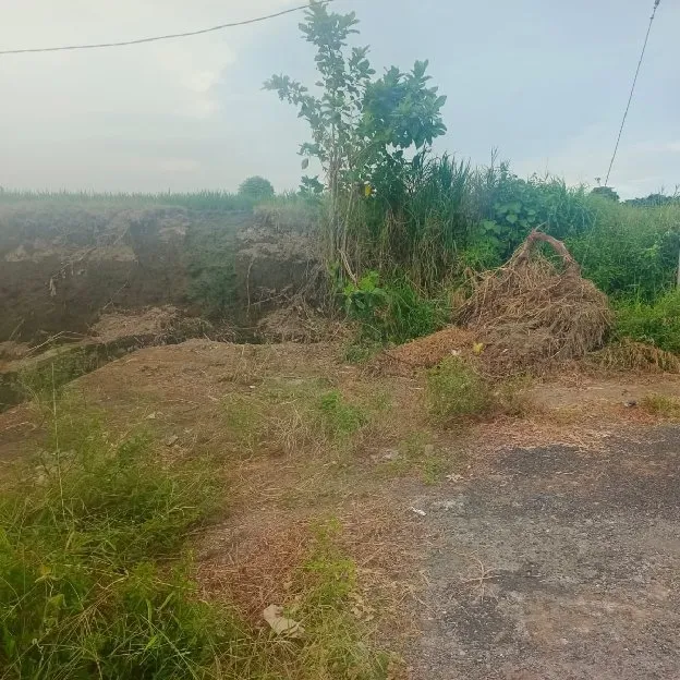Dijual 53,42 are, Jl. Bypass Ngurah Rai Tulikup Pantai Lebih Gianyar