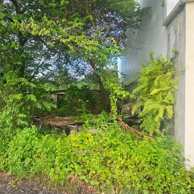 Dikontrakan & Dijual 4,55 are, Jl. Munduk Kalampuak Batu Bolong Subak Canggu Kuta Utara