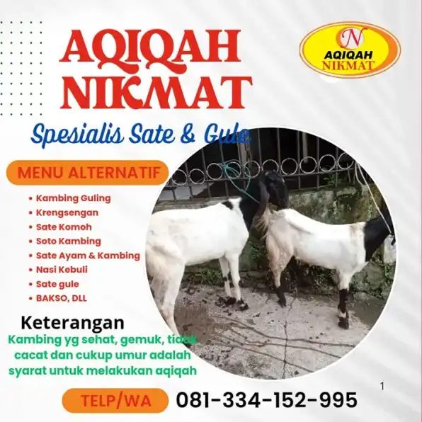 Hub. 0813 3415 2995 Layanan Aqiqah Terdekat Dijamin Halal Sesuai Syariah Malang