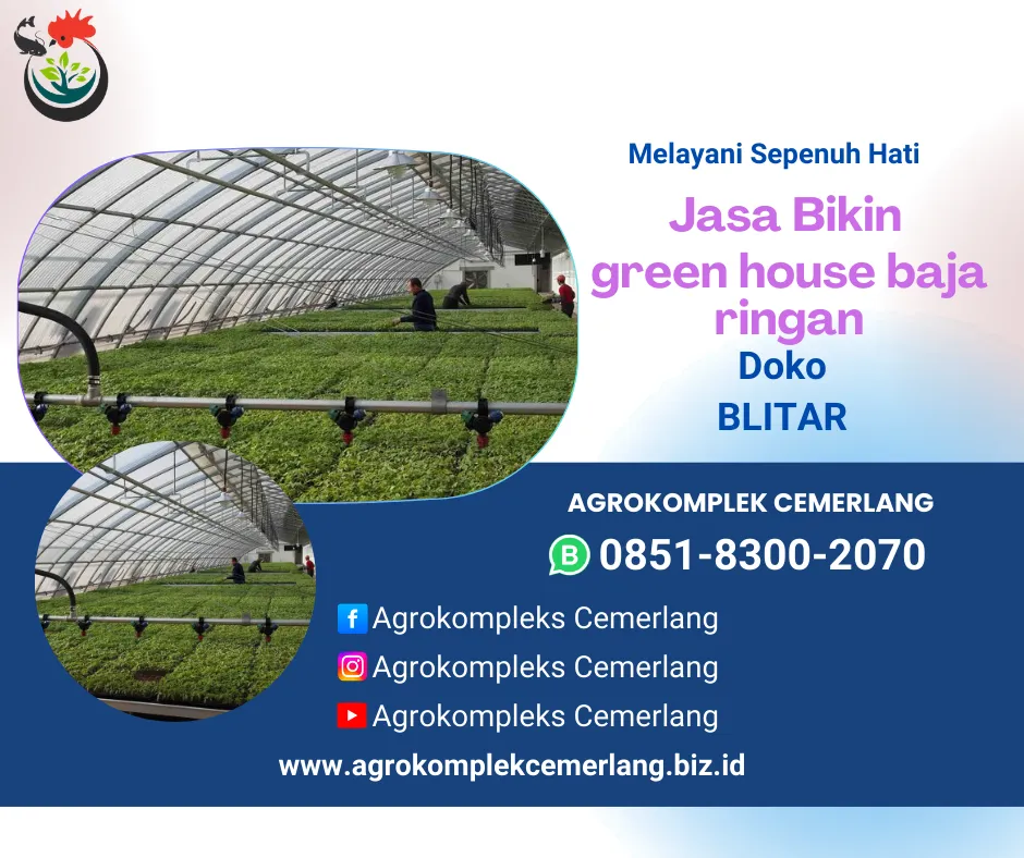 jasa green house blitar wonotirto